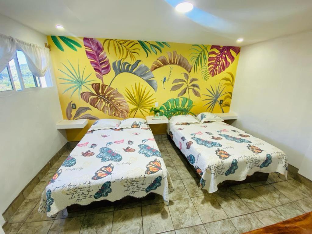 K&M Hotel Xilitla Zewnętrze zdjęcie